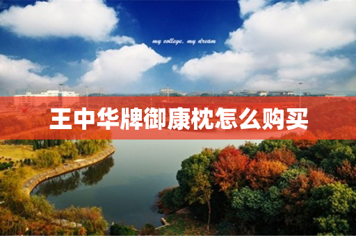 王中华牌御康枕怎么购买