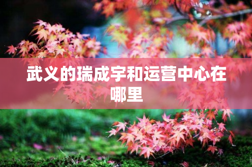 武义的瑞成宇和运营中心在哪里