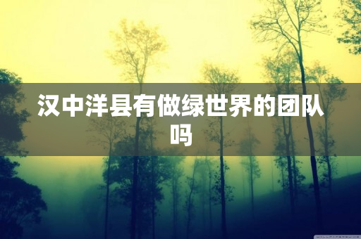 汉中洋县有做绿世界的团队吗