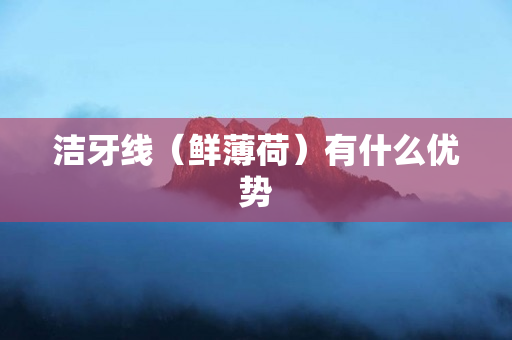 洁牙线（鲜薄荷）有什么优势