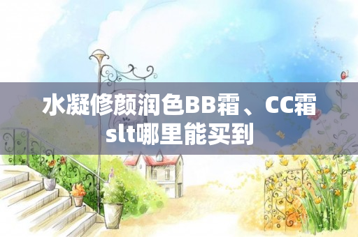 水凝修颜润色BB霜、CC霜slt哪里能买到