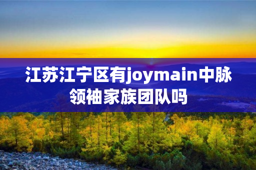 江苏江宁区有joymain中脉领袖家族团队吗