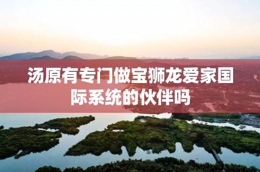 汤原有专门做宝狮龙爱家国际系统的伙伴吗