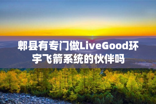郫县有专门做LiveGood环宇飞箭系统的伙伴吗