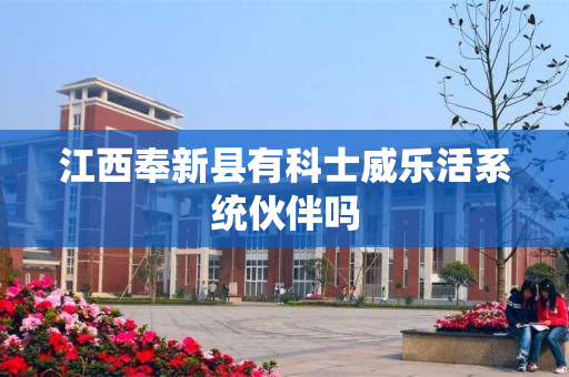 江西奉新县有科士威乐活系统伙伴吗