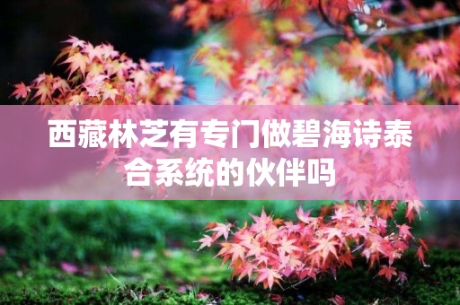 西藏林芝有专门做碧海诗泰合系统的伙伴吗