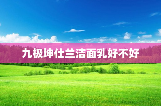 九极坤仕兰洁面乳好不好