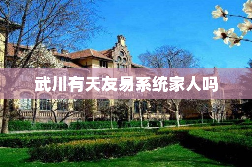 武川有天友易系统家人吗
