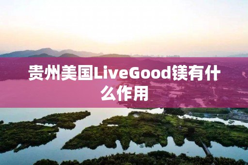 贵州美国LiveGood镁有什么作用