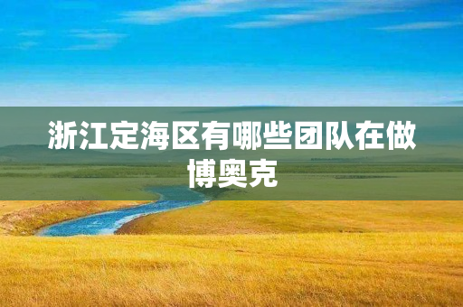 浙江定海区有哪些团队在做博奥克