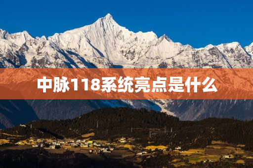 中脉118系统亮点是什么
