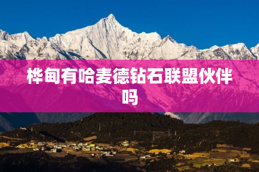 桦甸有哈麦德钻石联盟伙伴吗