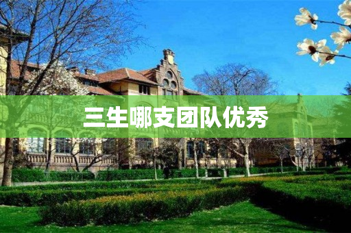 三生哪支团队优秀