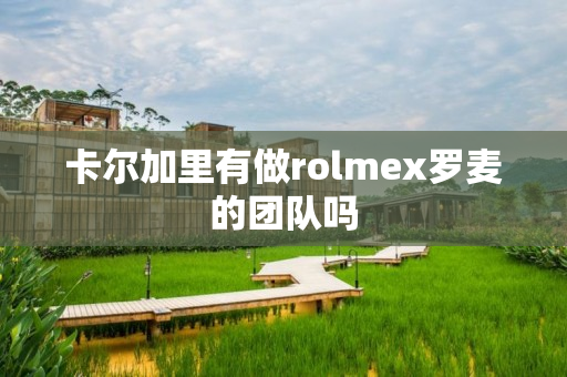 卡尔加里有做rolmex罗麦的团队吗
