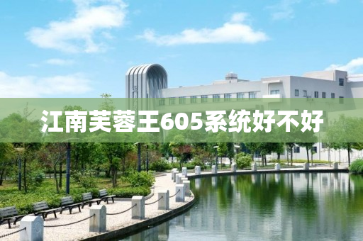江南芙蓉王605系统好不好