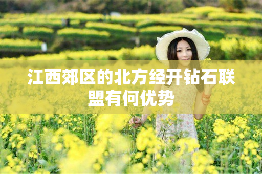 江西郊区的北方经开钻石联盟有何优势