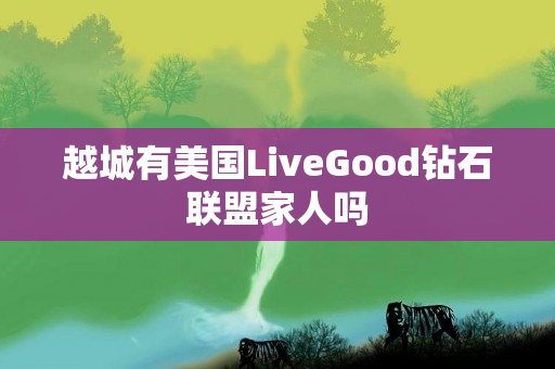 越城有美国LiveGood钻石联盟家人吗