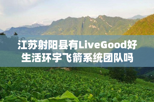 江苏射阳县有LiveGood好生活环宇飞箭系统团队吗