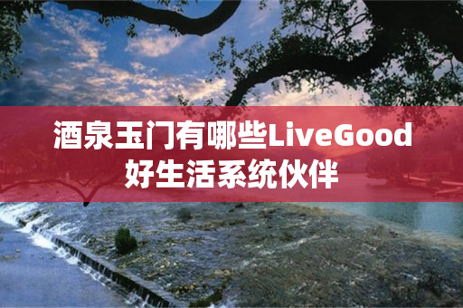 酒泉玉门有哪些LiveGood好生活系统伙伴