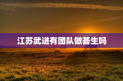 江苏武进有团队做荟生吗
