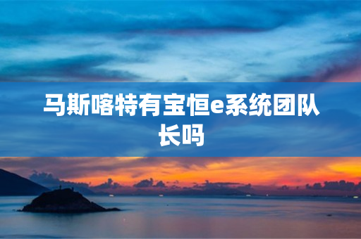 马斯喀特有宝恒e系统团队长吗