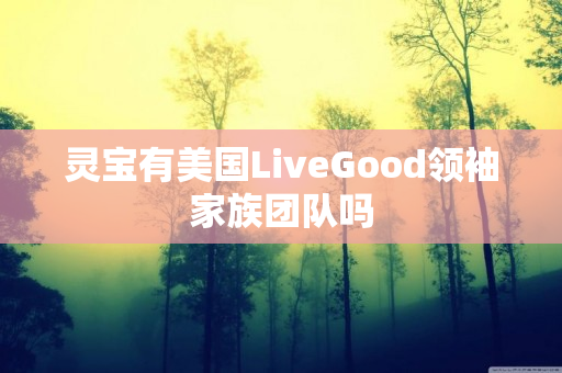 灵宝有美国LiveGood领袖家族团队吗