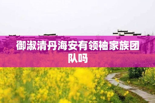 御淑清丹海安有领袖家族团队吗