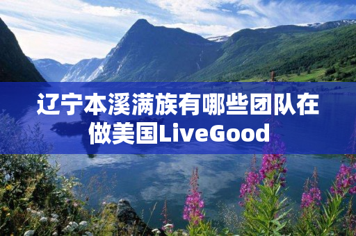 辽宁本溪满族有哪些团队在做美国LiveGood