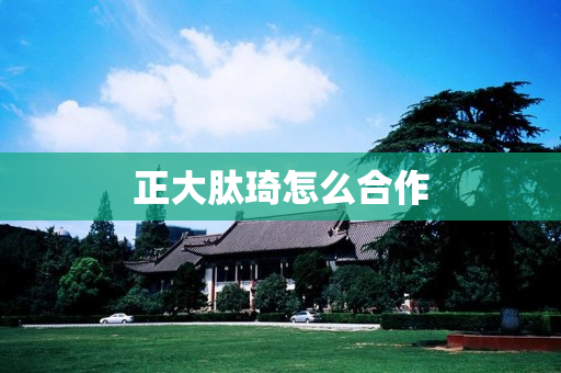 正大肽琦怎么合作