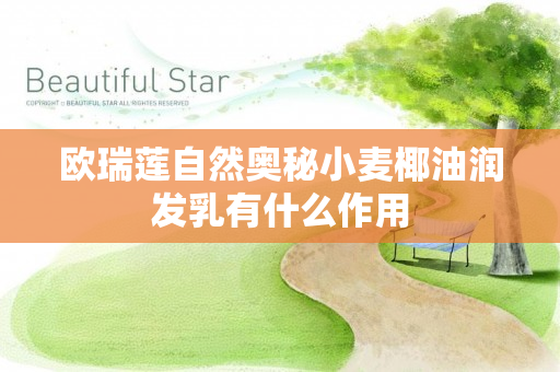 欧瑞莲自然奥秘小麦椰油润发乳有什么作用