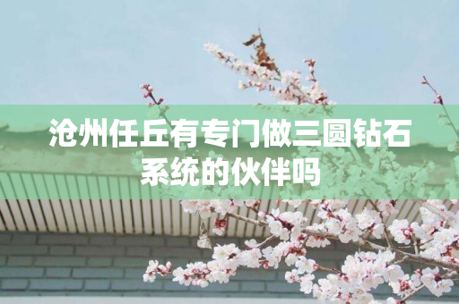 沧州任丘有专门做三圆钻石系统的伙伴吗