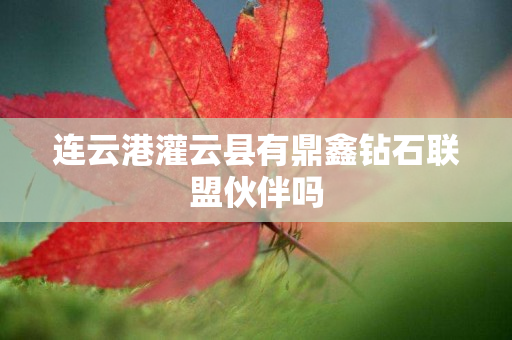 连云港灌云县有鼎鑫钻石联盟伙伴吗