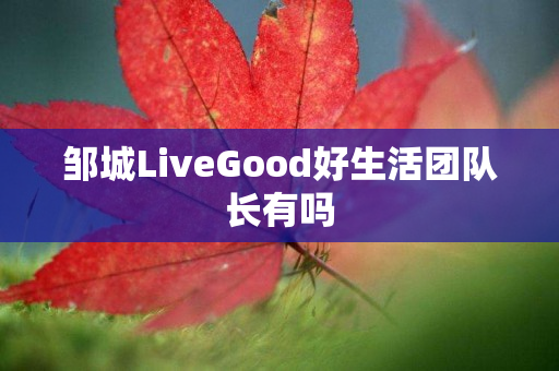 邹城LiveGood好生活团队长有吗