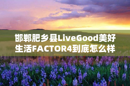 邯郸肥乡县LiveGood美好生活FACTOR4到底怎么样