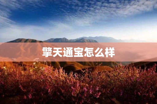 擎天通宝怎么样