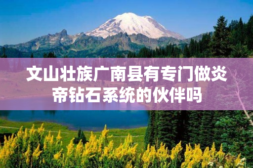 文山壮族广南县有专门做炎帝钻石系统的伙伴吗