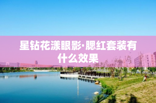 星钻花漾眼影·腮红套装有什么效果