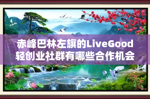 赤峰巴林左旗的LiveGood轻创业社群有哪些合作机会