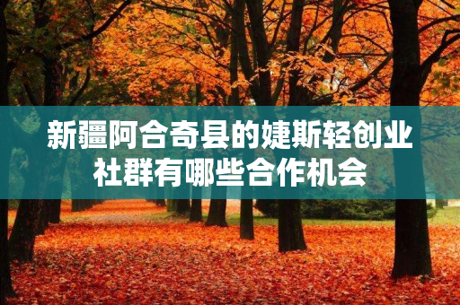 新疆阿合奇县的婕斯轻创业社群有哪些合作机会