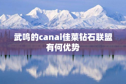 武鸣的canai佳莱钻石联盟有何优势