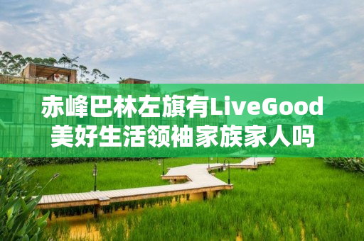 赤峰巴林左旗有LiveGood美好生活领袖家族家人吗