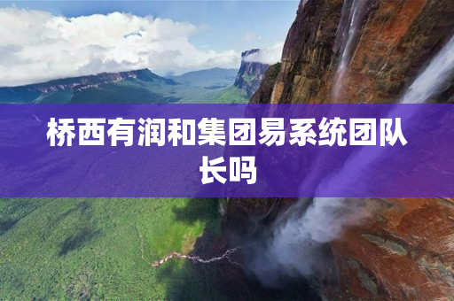 桥西有润和集团易系统团队长吗