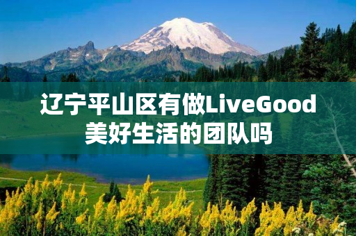 辽宁平山区有做LiveGood美好生活的团队吗