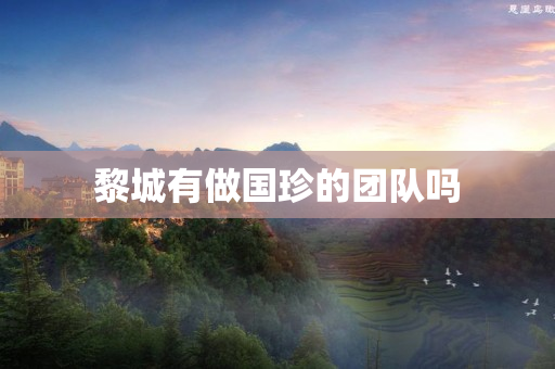黎城有做国珍的团队吗