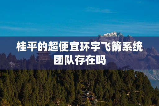 桂平的超便宜环宇飞箭系统团队存在吗
