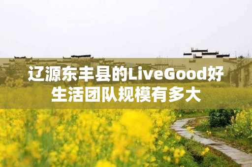 辽源东丰县的LiveGood好生活团队规模有多大