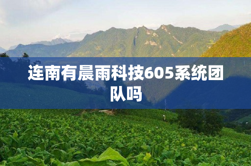 连南有晨雨科技605系统团队吗