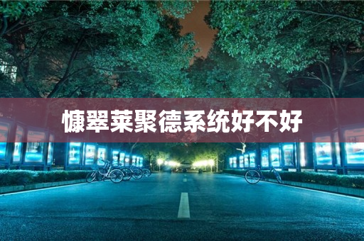 慷翠莱聚德系统好不好