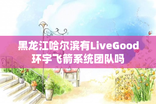 黑龙江哈尔滨有LiveGood环宇飞箭系统团队吗