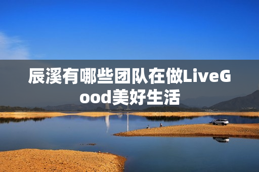 辰溪有哪些团队在做LiveGood美好生活